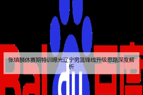 张镇麟休赛期特训曝光辽宁男篮锋线升级思路深度解析