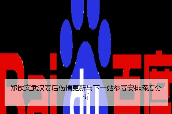 郑钦文武汉赛后伤情更新与下一站参赛安排深度分析